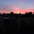 DSC03443